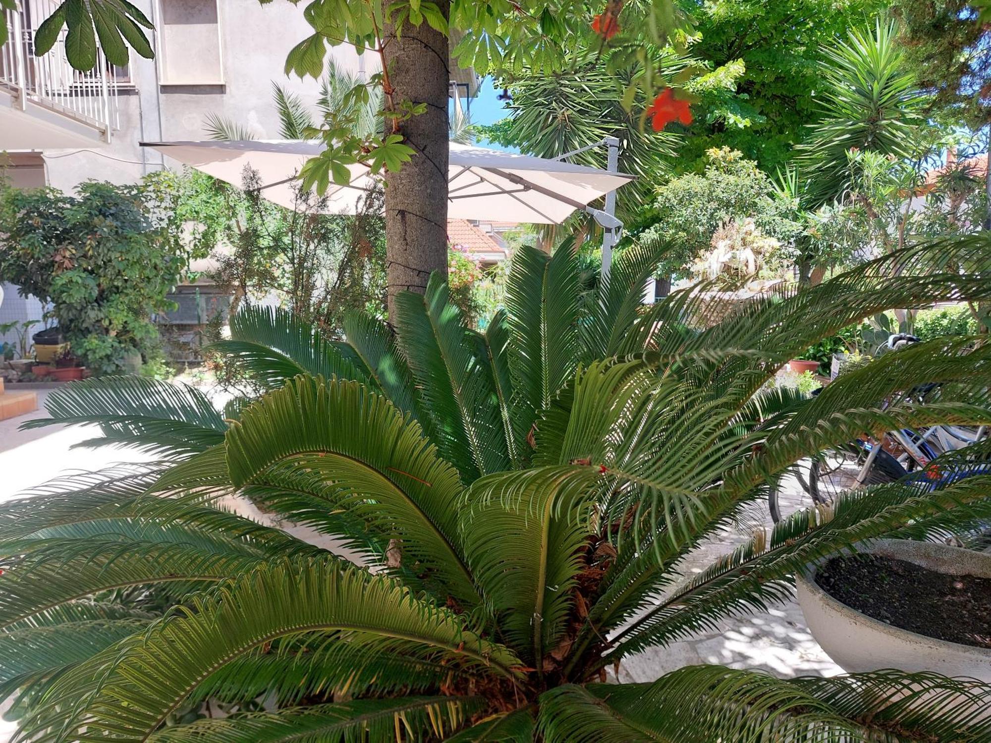B&B La Fontanella Σαν Μπενεντέτο ντελ Τρόντο Εξωτερικό φωτογραφία